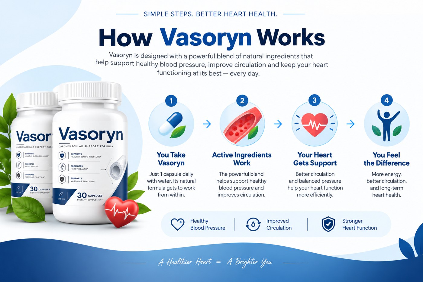 Vasoryn four-step how it works: you take Vasoryn, active ingredients work, your heart gets support, you feel the difference